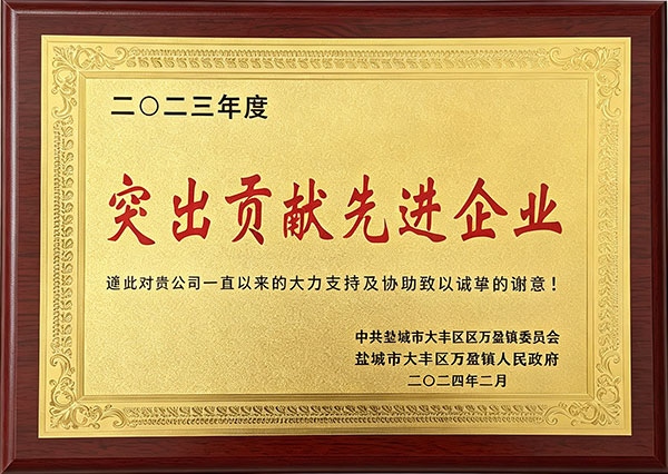 突出贡献先进企业